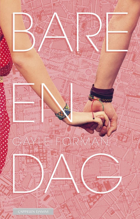 Bare en dag