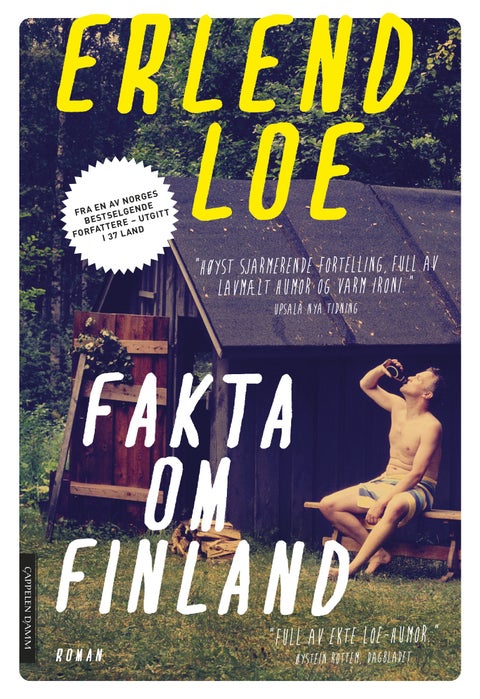 Fakta om Finland - roman