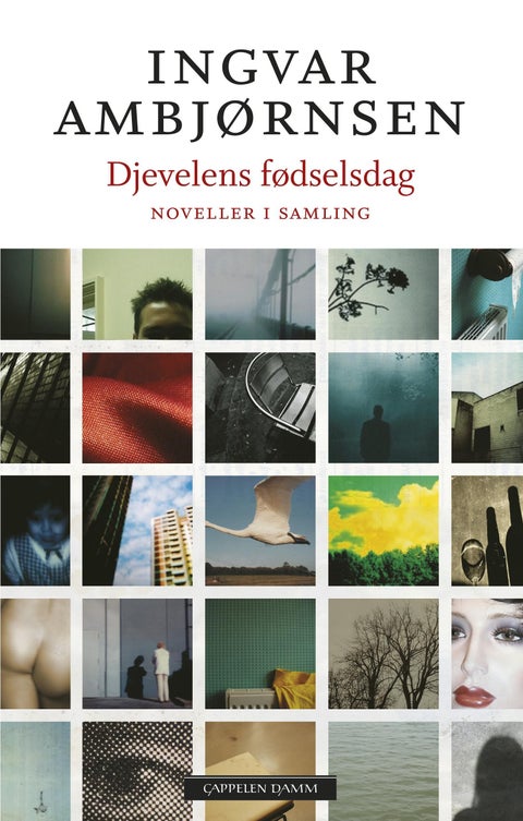 Djevelens fødselsdag - noveller i samling