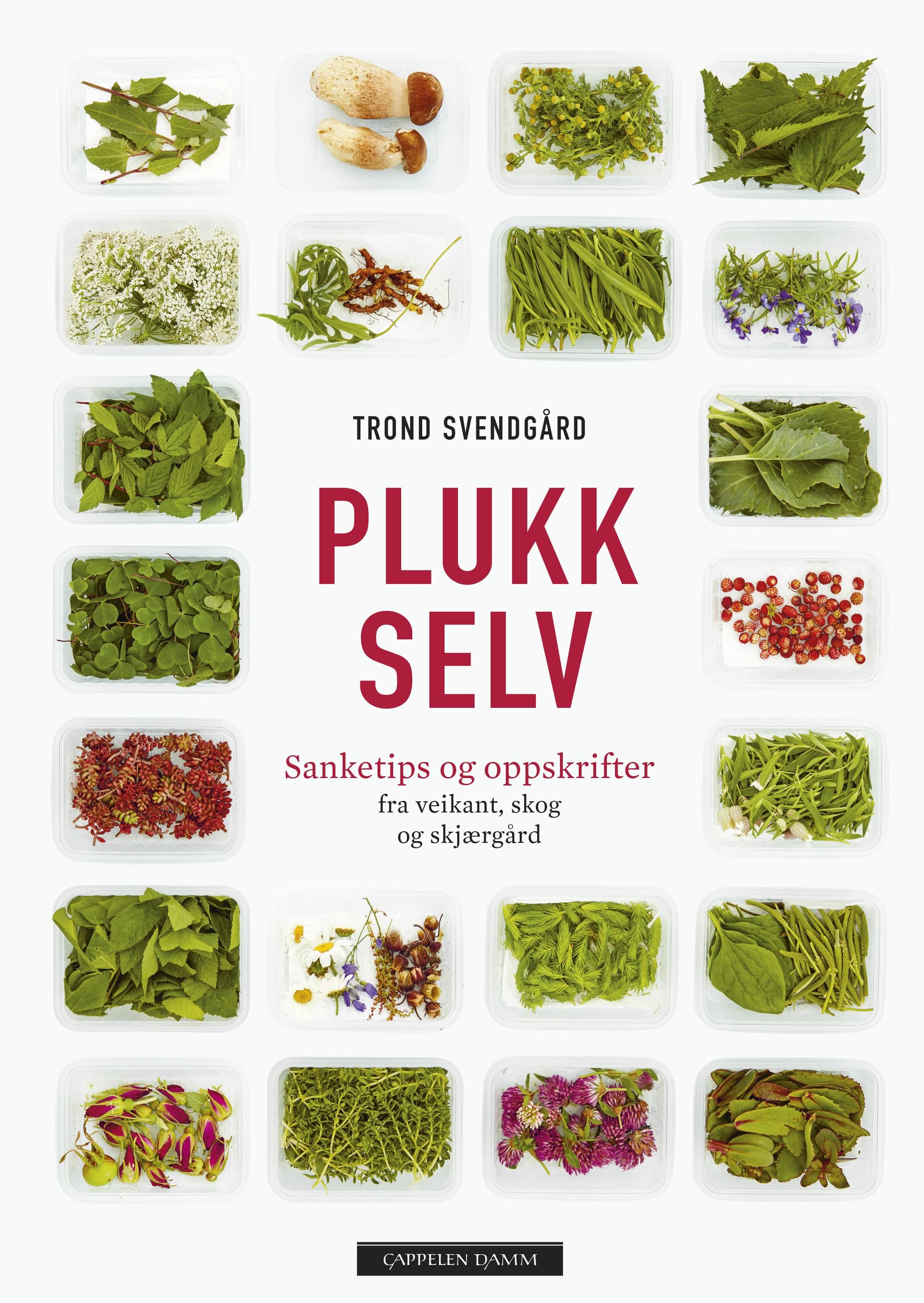 Plukk selv - sanketips og oppskrifter : fra veikant, skog og skjærgård