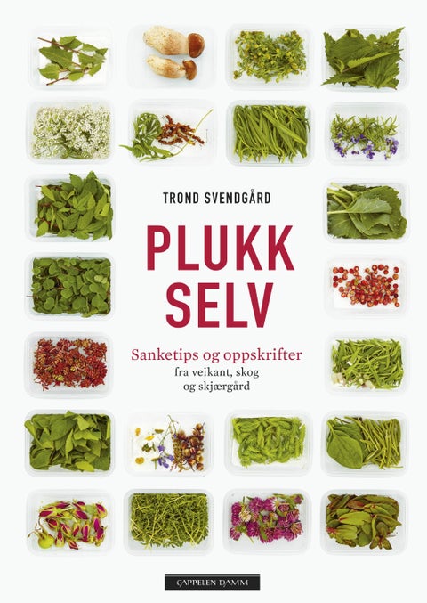 Plukk selv - sanketips og oppskrifter : fra veikant, skog og skjærgård