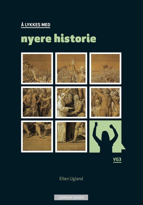 Å lykkes med nyere historie