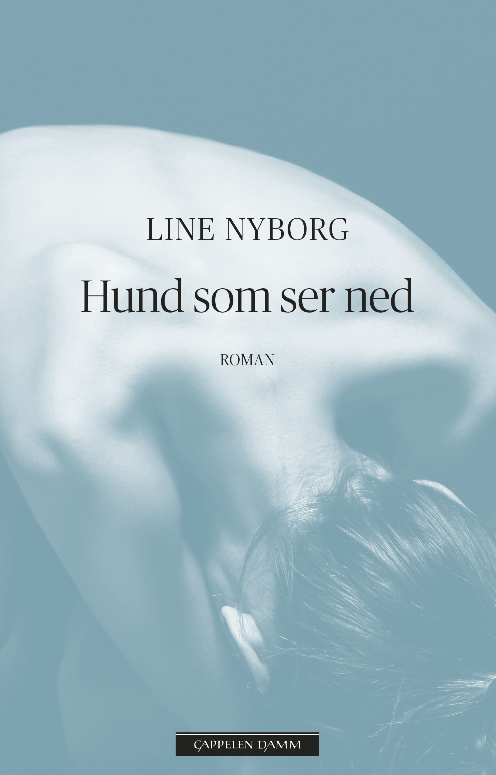 Hund som ser ned - roman