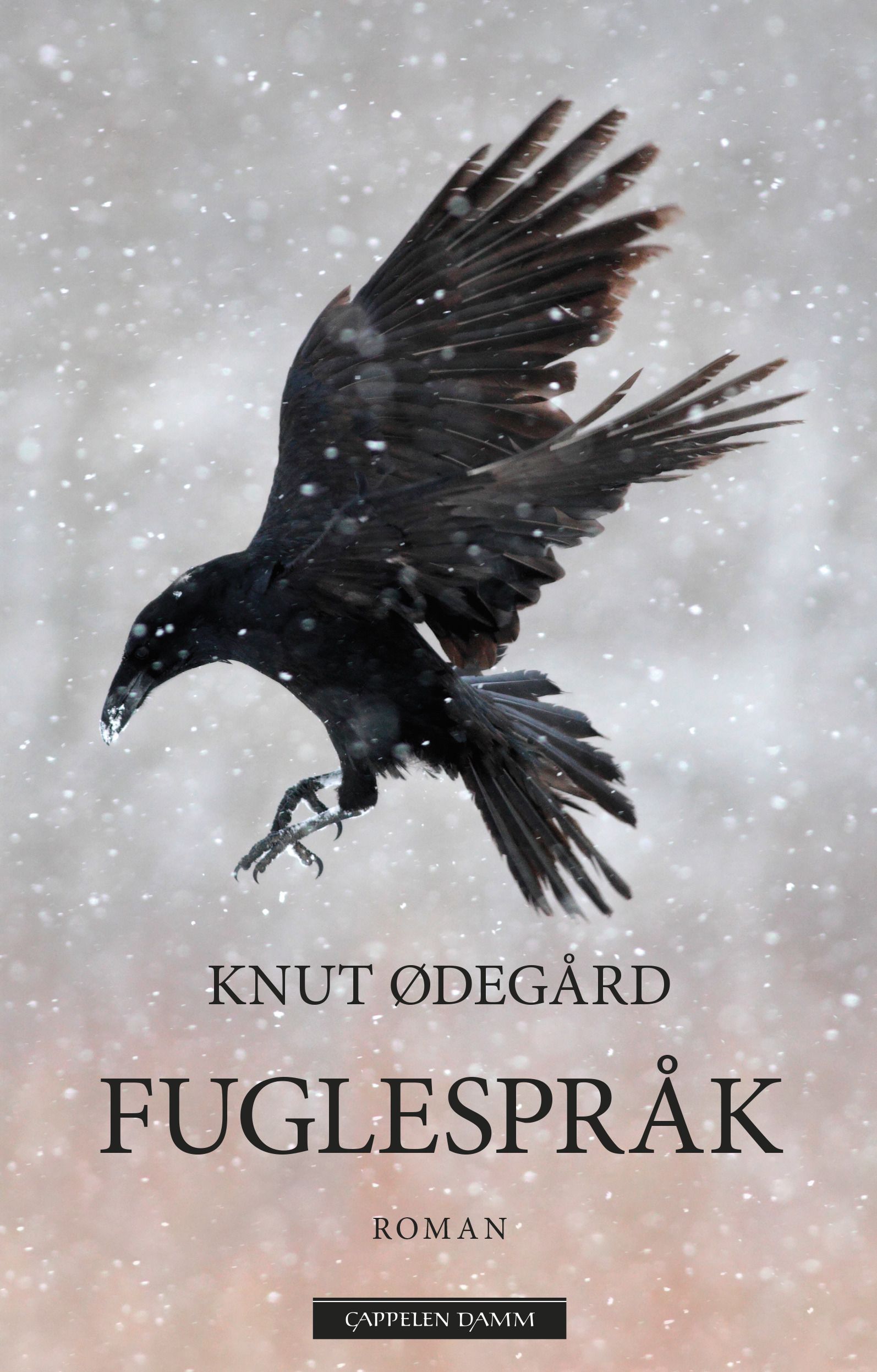 Fuglespråk - Claus Hoel Kringsjås historie