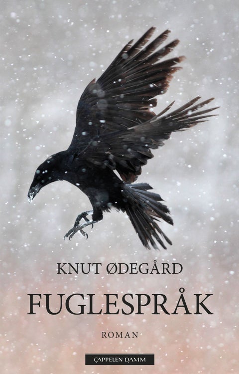 Fuglespråk - Claus Hoel Kringsjås historie
