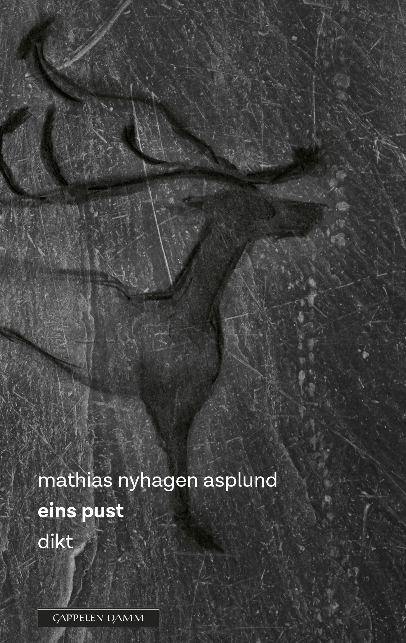 Eins pust - dikt