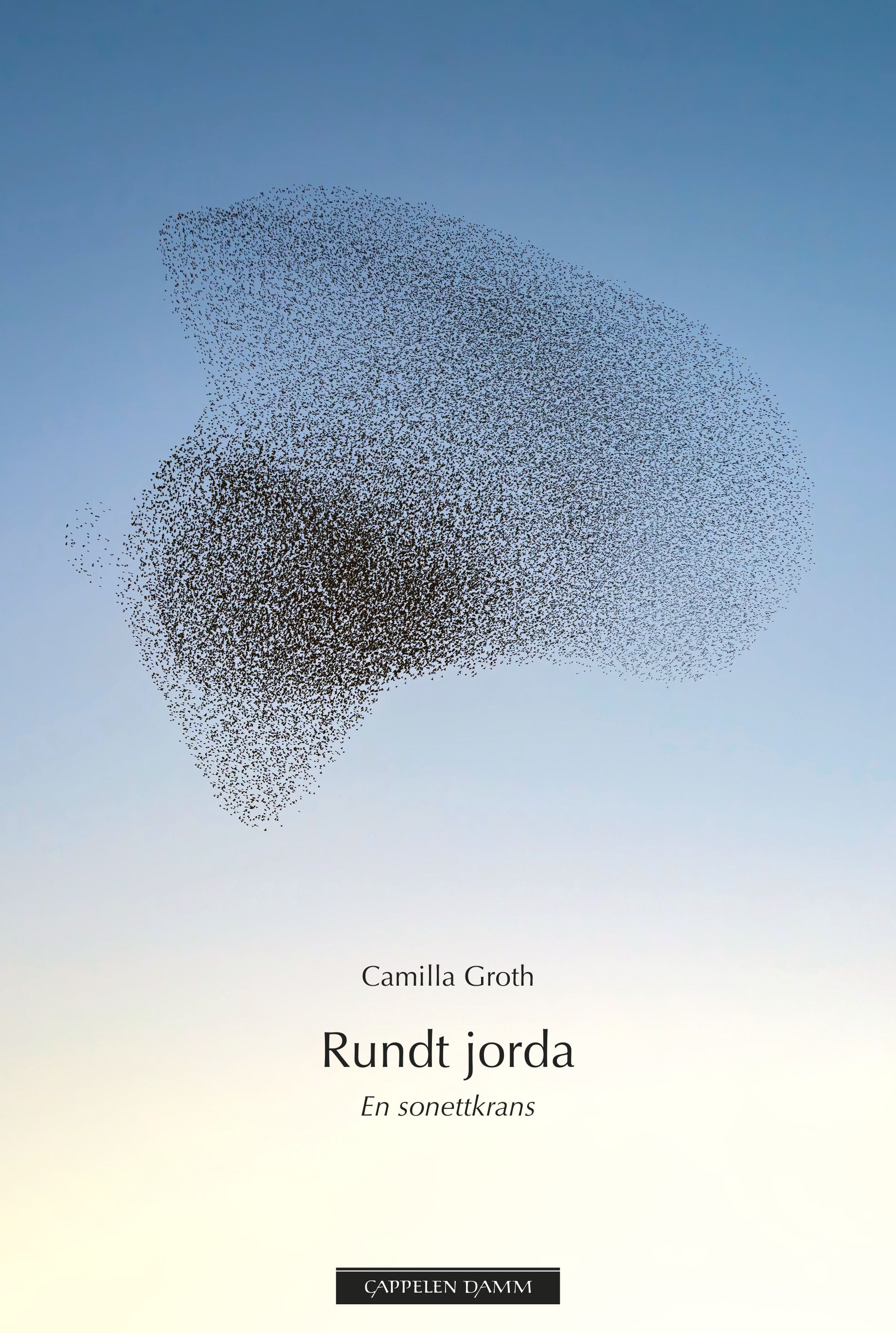 Rundt jorda - en sonettkrans
