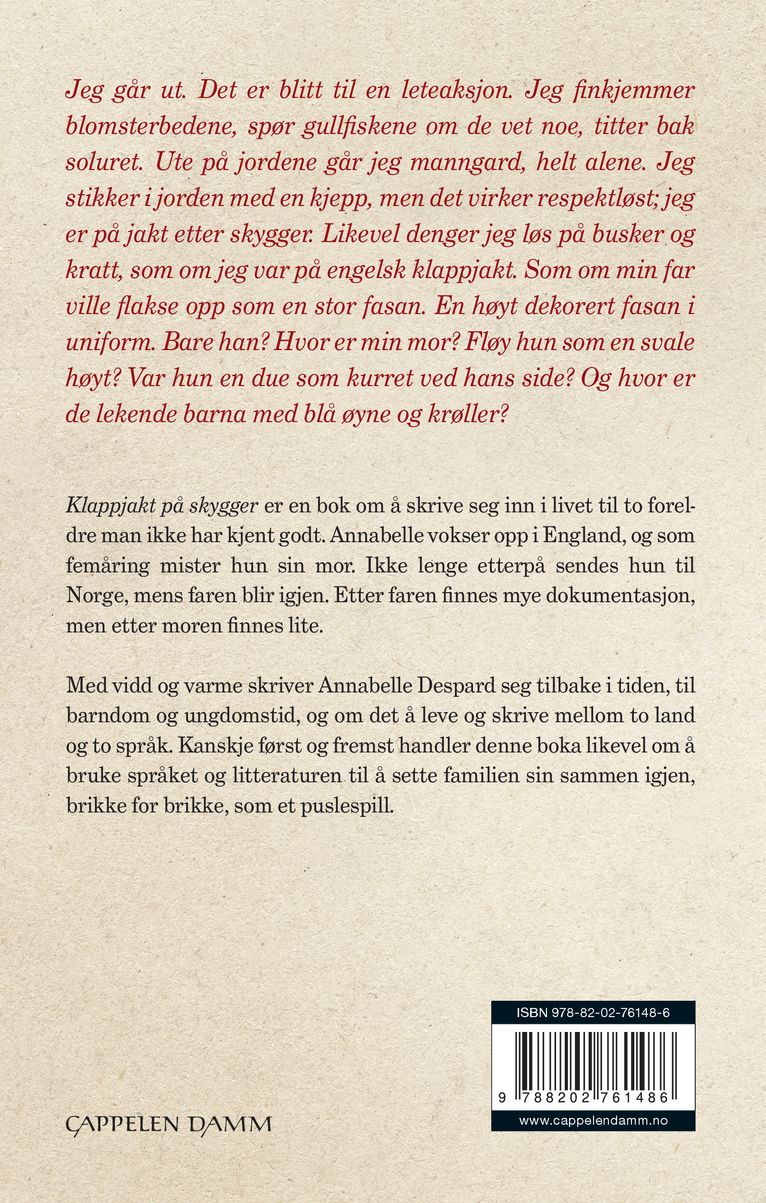 Klappjakt på skygger
