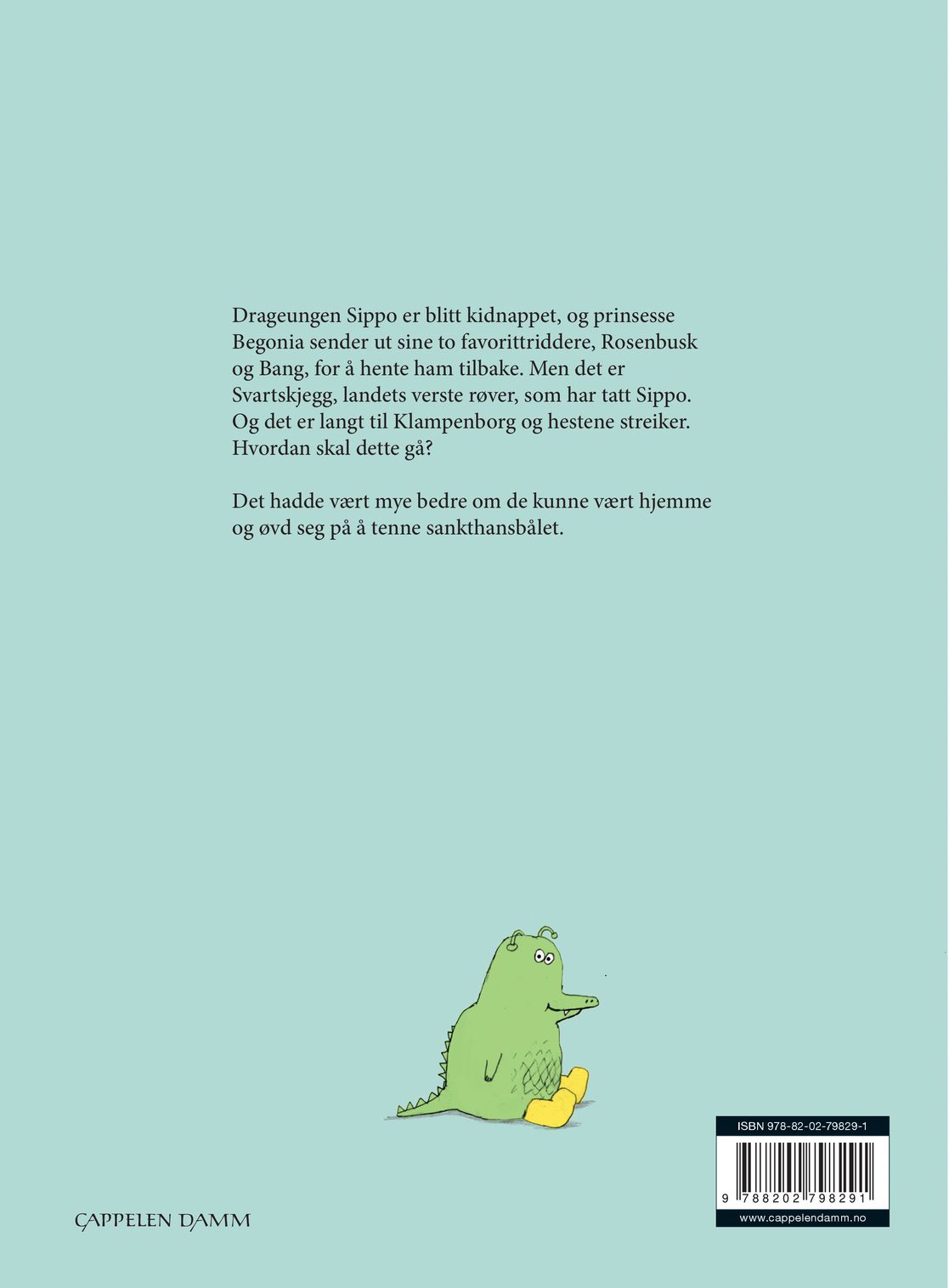 Ridderne og det store bålet