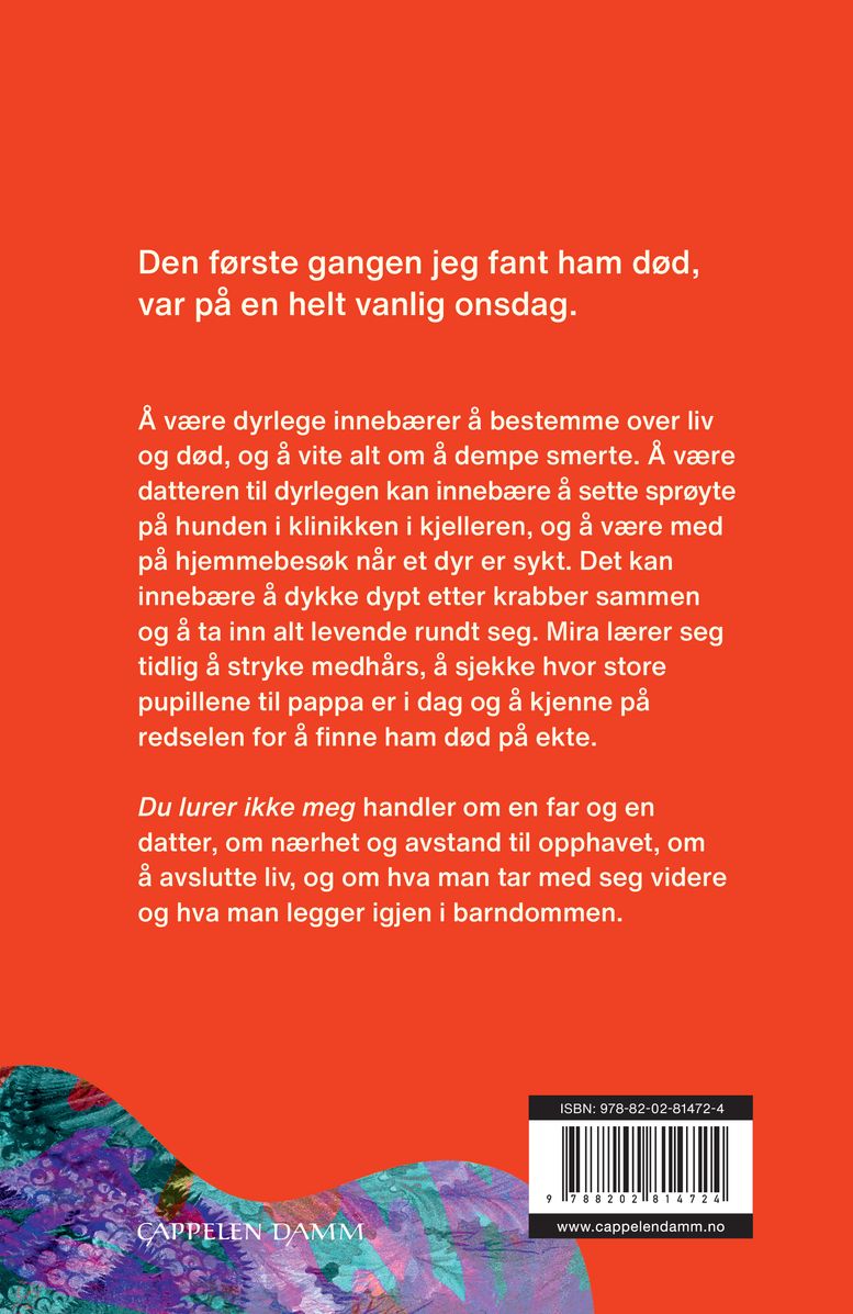 Du lurer ikke meg
