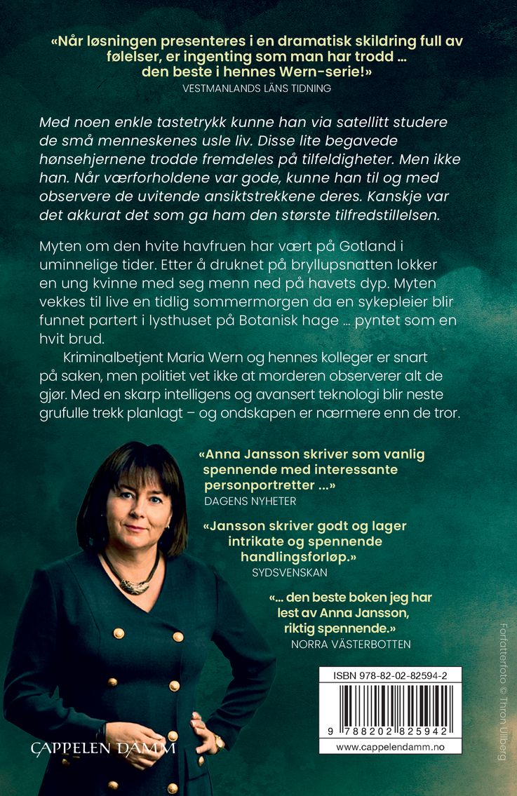 Drømmen førte deg vill