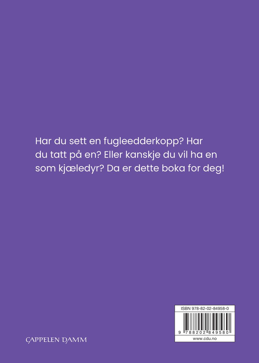 Fugleedderkopp