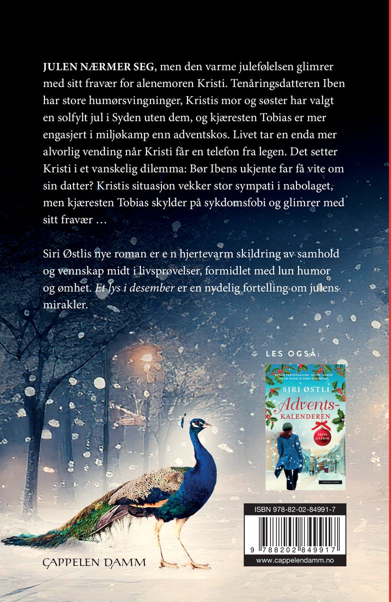 Et lys i desember