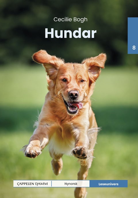 Hundar
