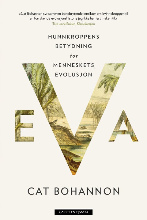 Eva - hunnkroppens betydning for menneskets evolusjon