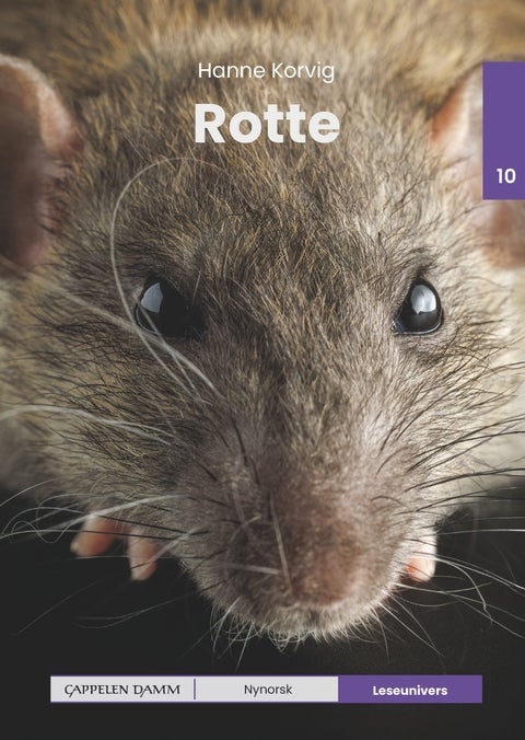 Rotte