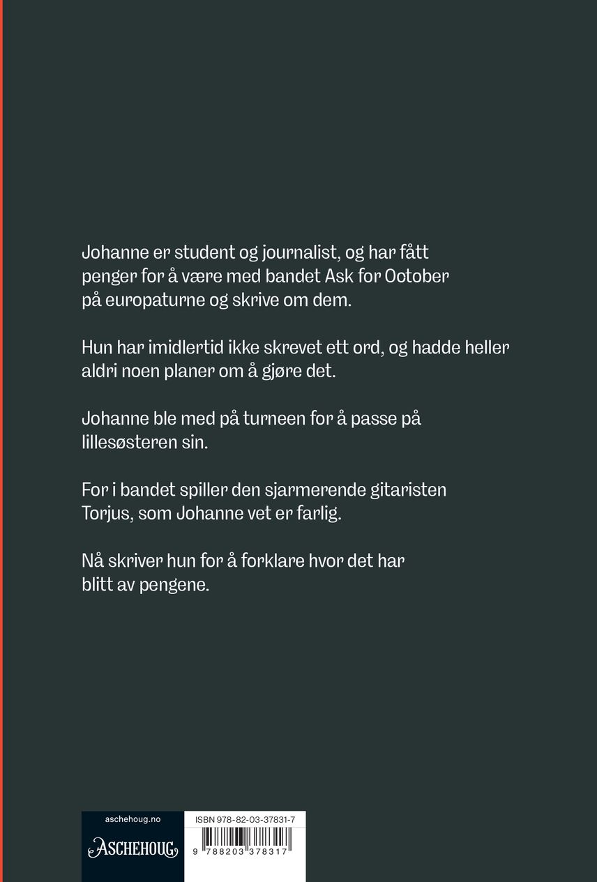 Hva jeg gjorde med pengene