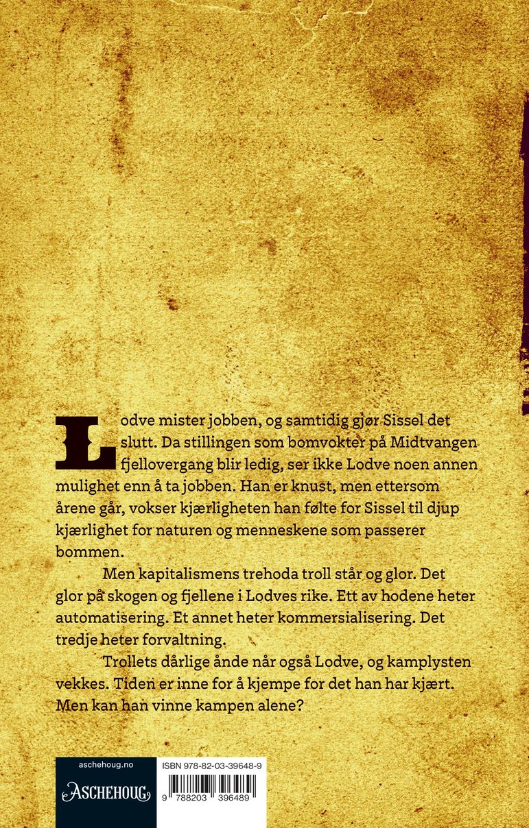 Allmenningen