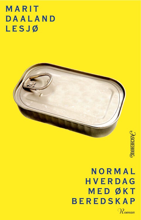 Normal hverdag med økt beredskap - roman