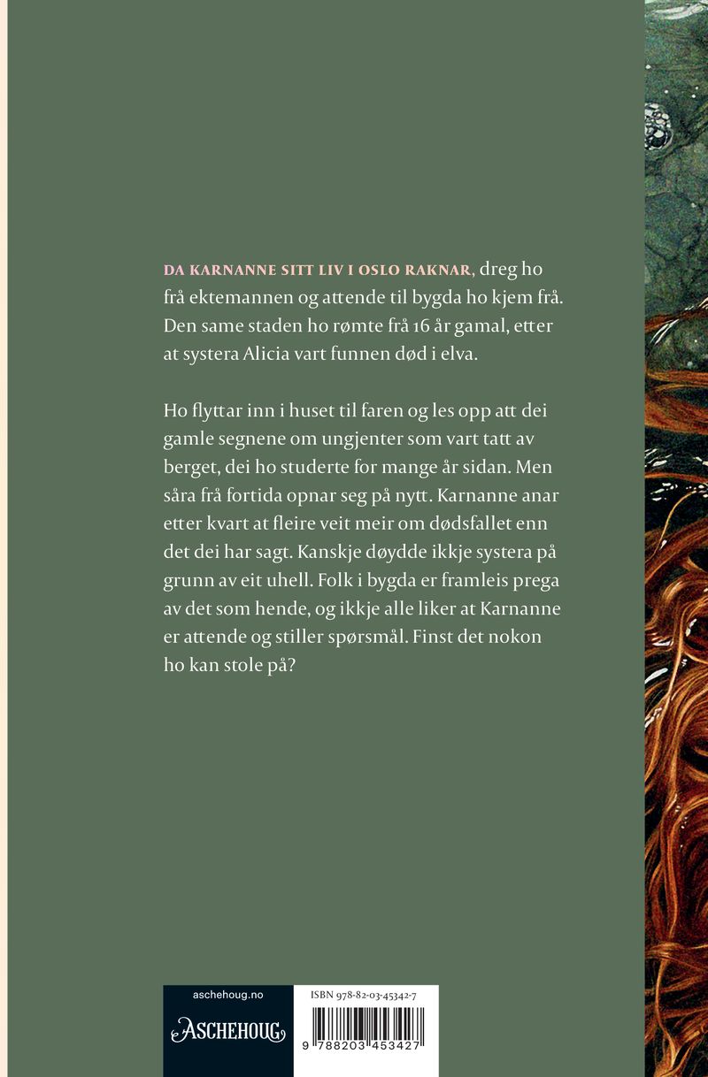 Den andre sida av elva