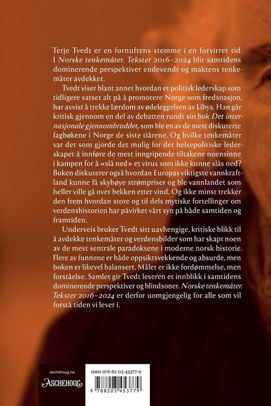 Norske tenkemåter