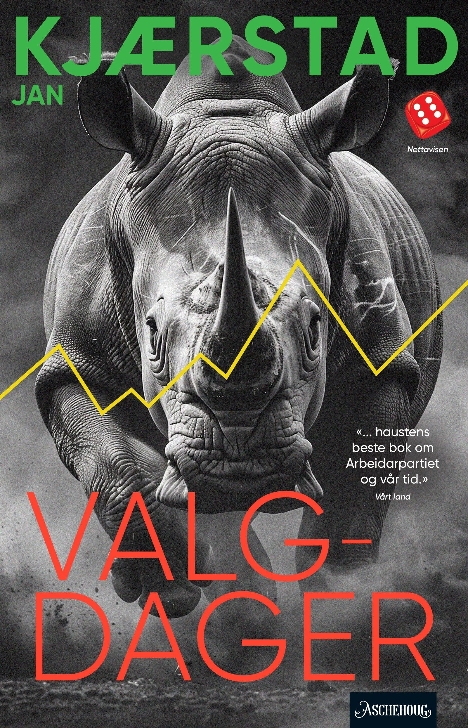 Valgdager - roman