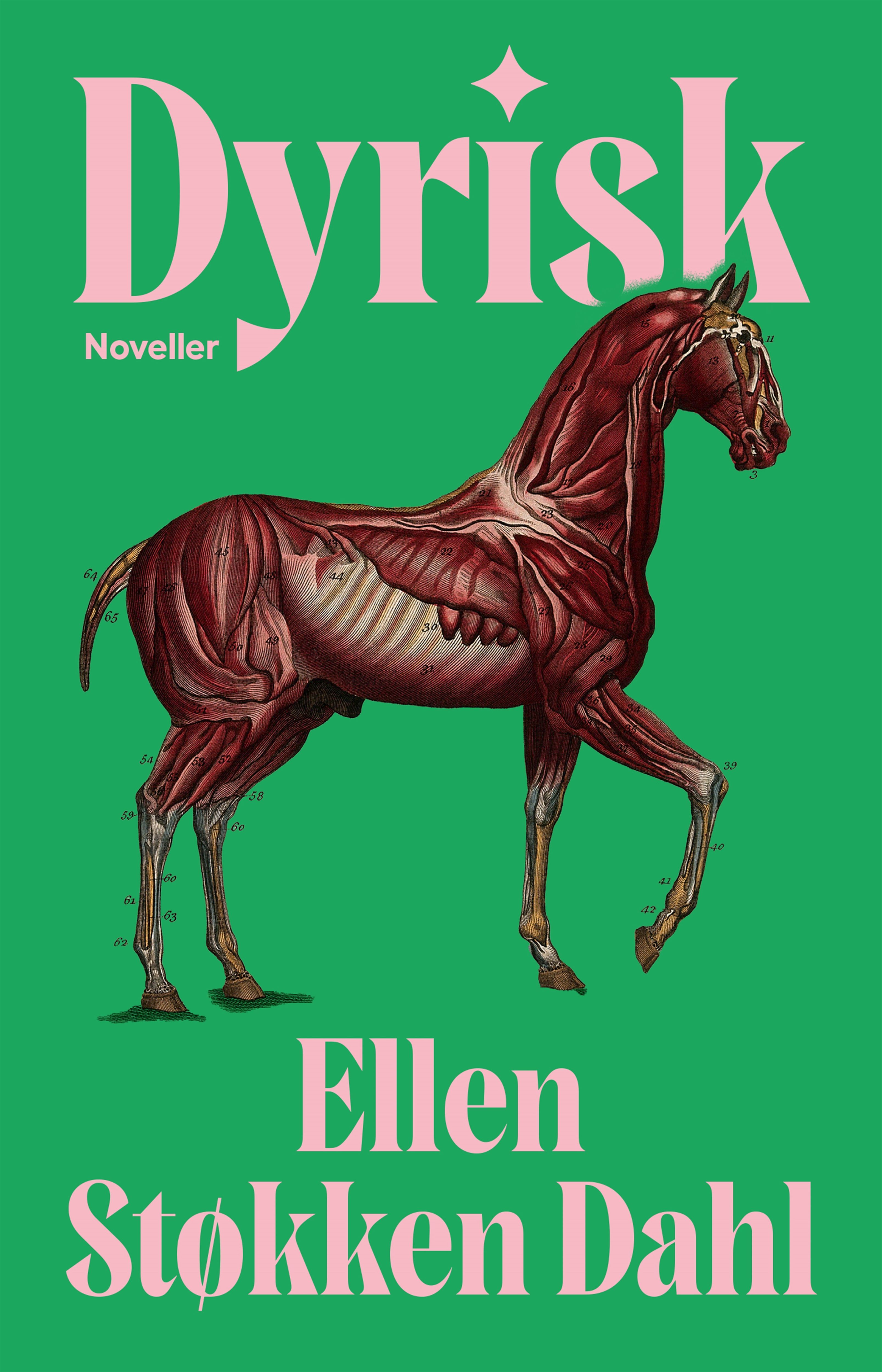 Dyrisk - noveller