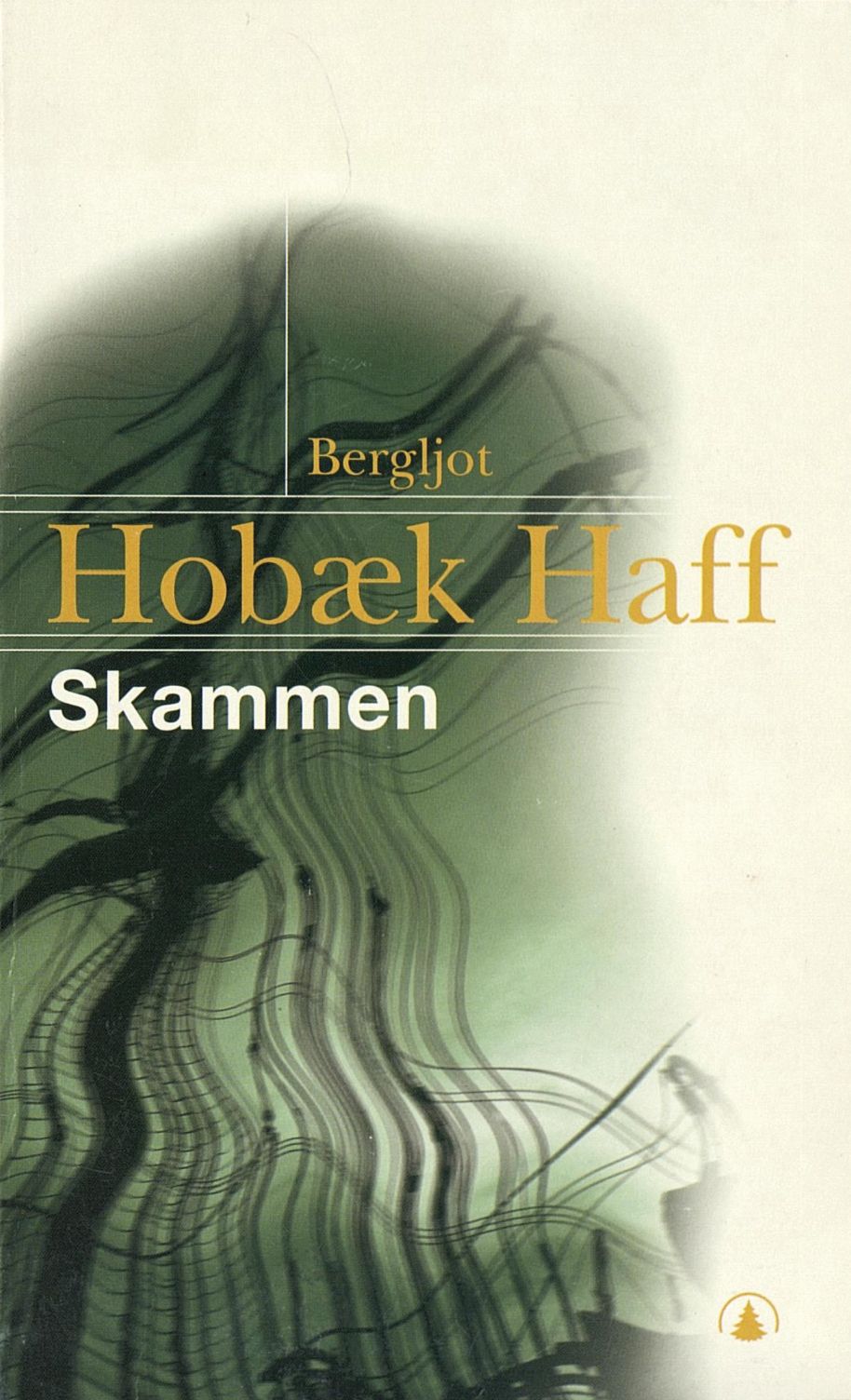 Skammen - roman