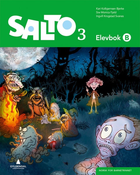 Salto 3 - Elevbok B : norsk for barnesteget