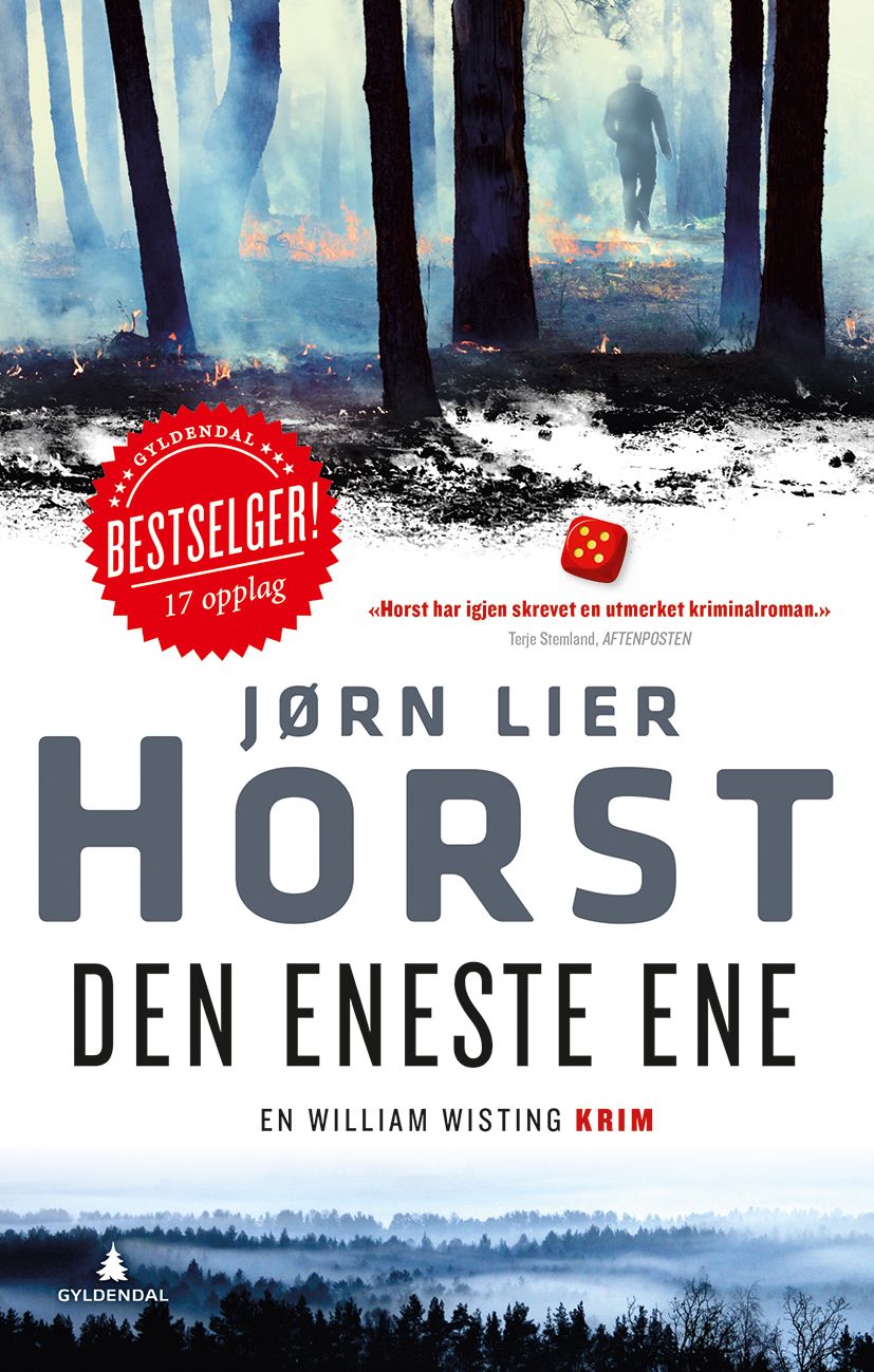 Den eneste ene - kriminalroman