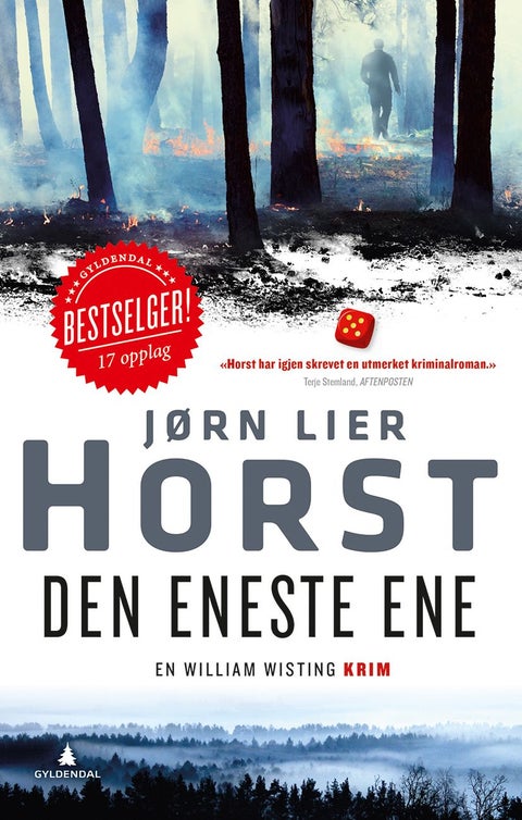 Den eneste ene - kriminalroman
