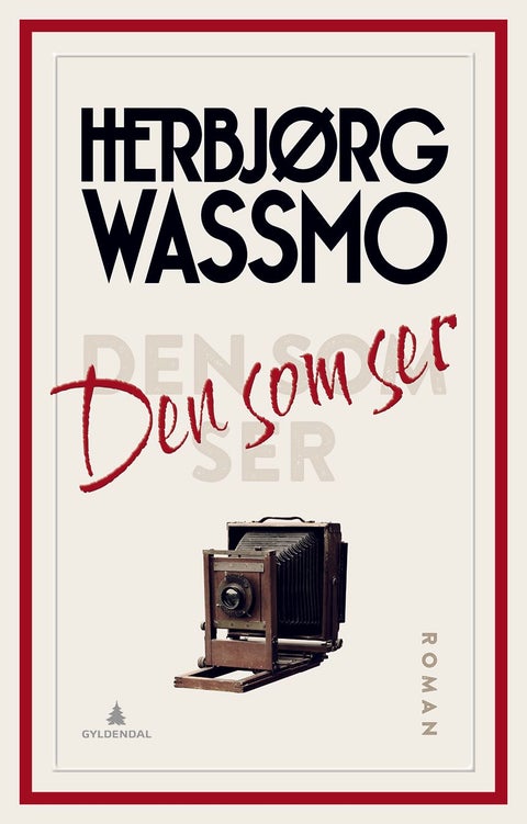 Den som ser - roman