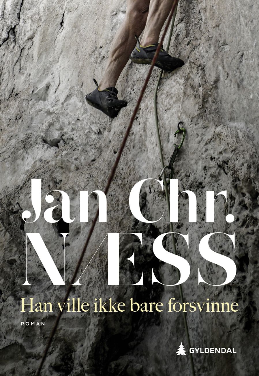 Han ville ikke bare forsvinne - roman