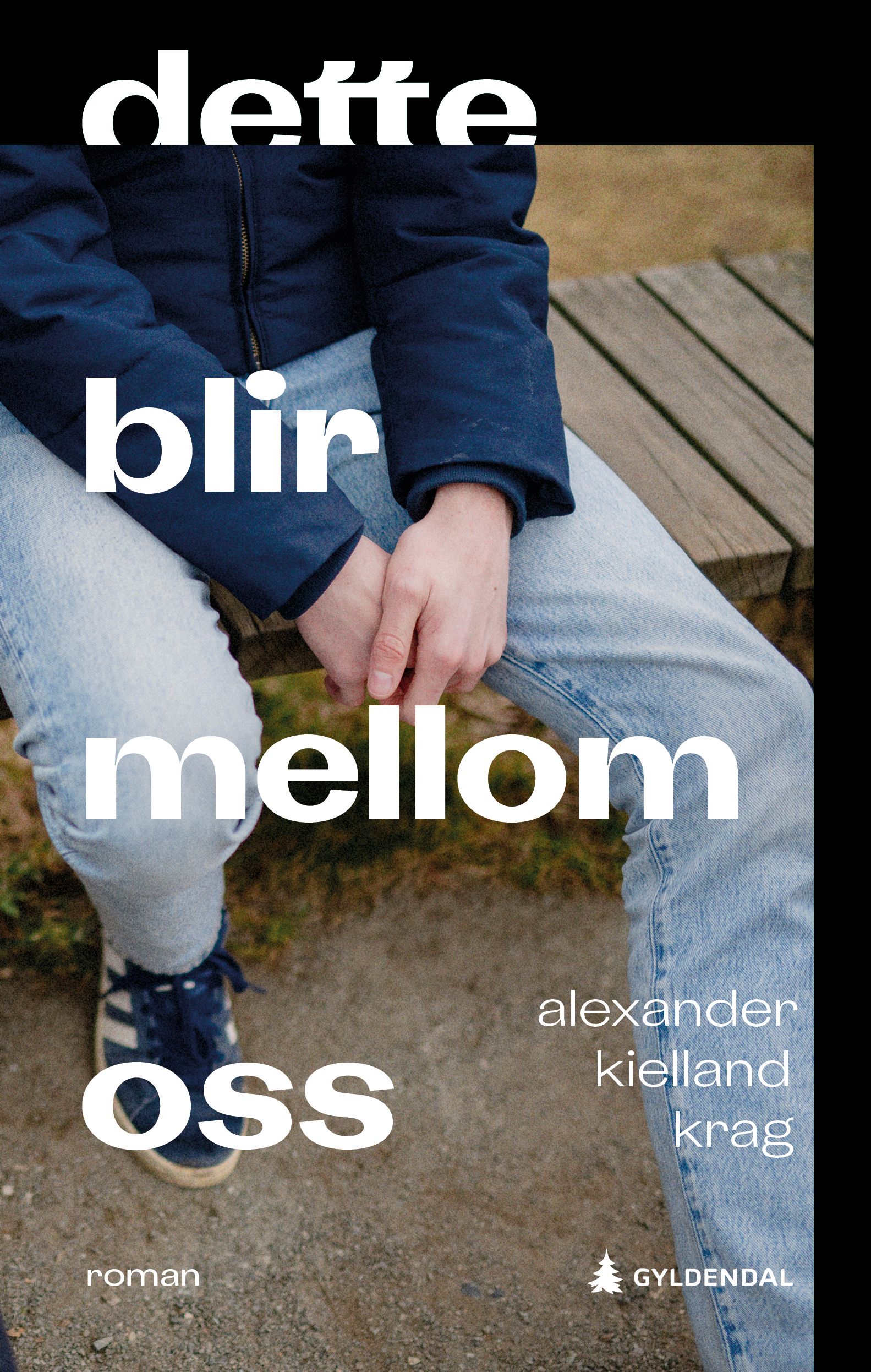 Dette blir mellom oss - roman