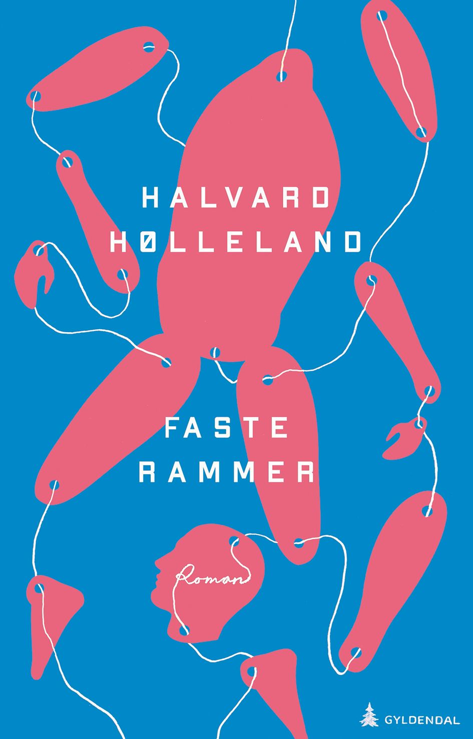 Faste rammer - roman