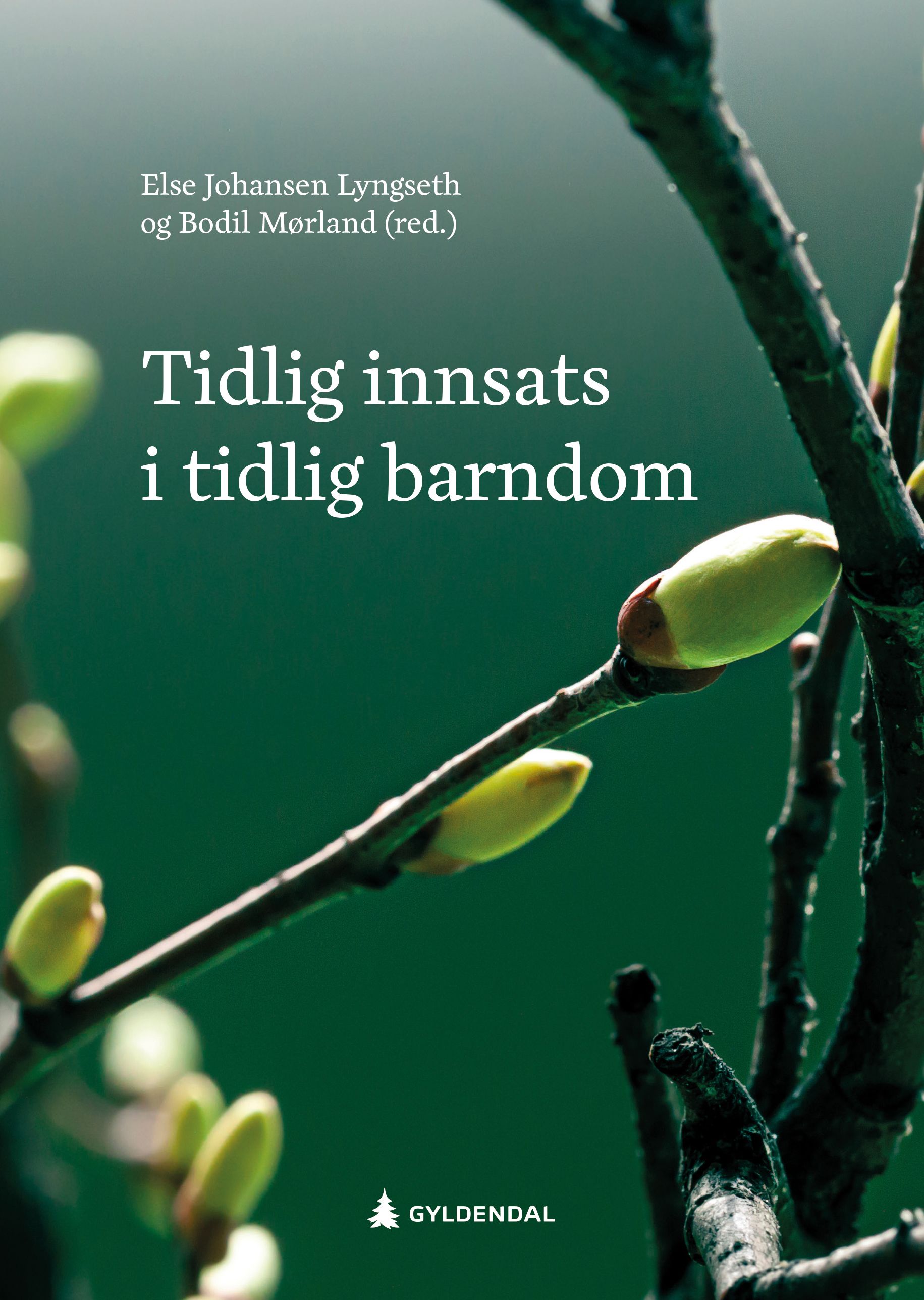 Tidlig innsats i tidlig barndom