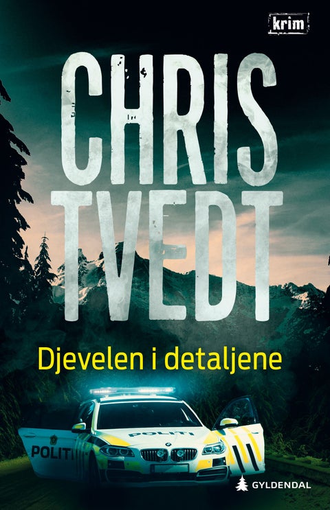 Djevelen i detaljene - kriminalroman