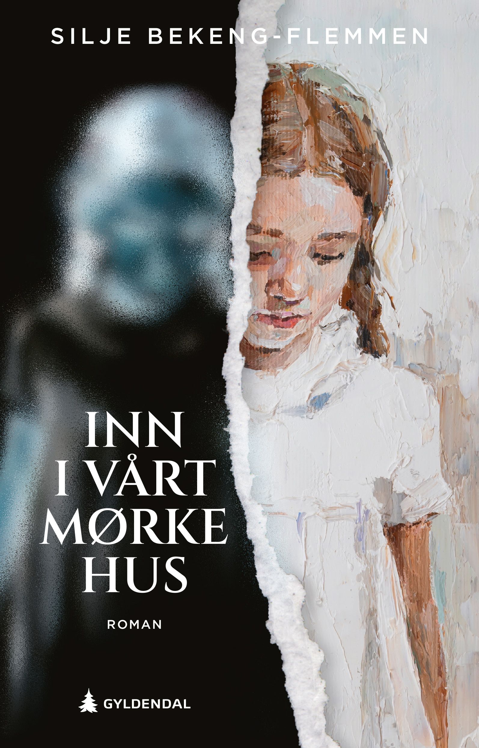 Inn i vårt mørke hus - roman