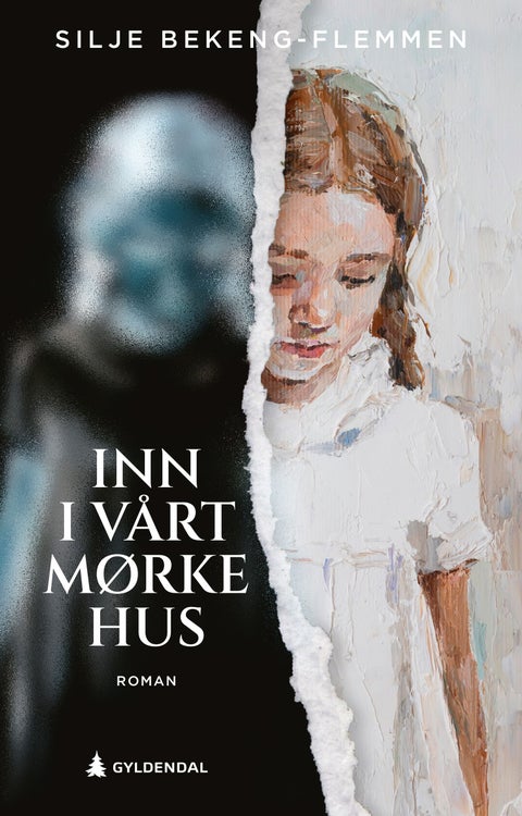 Inn i vårt mørke hus - roman