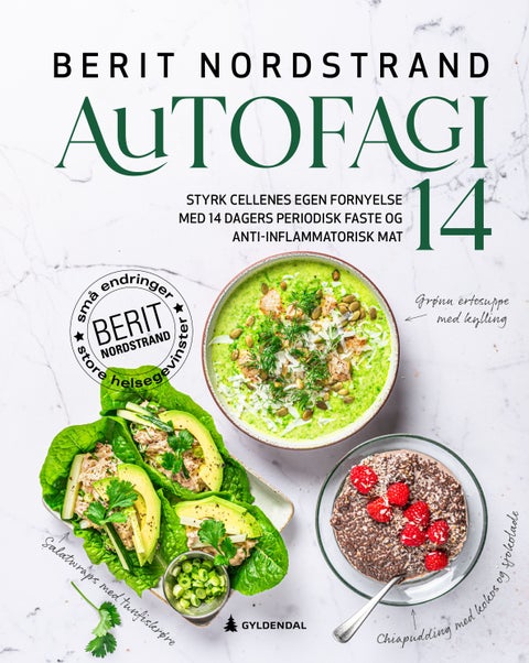 Autofagi 14 - styrk cellenes egen fornyelse med 14 dagers periodisk faste og anti-inflammatorisk mat