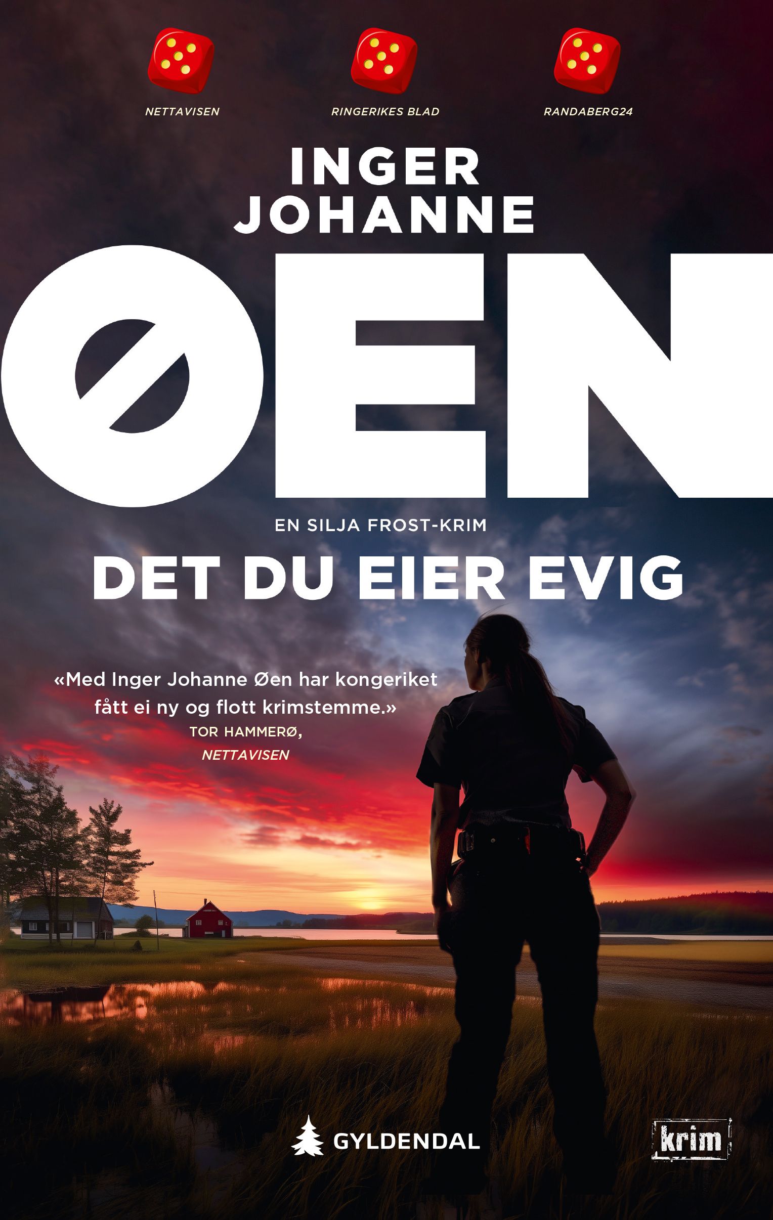 Det du eier evig - en politiroman