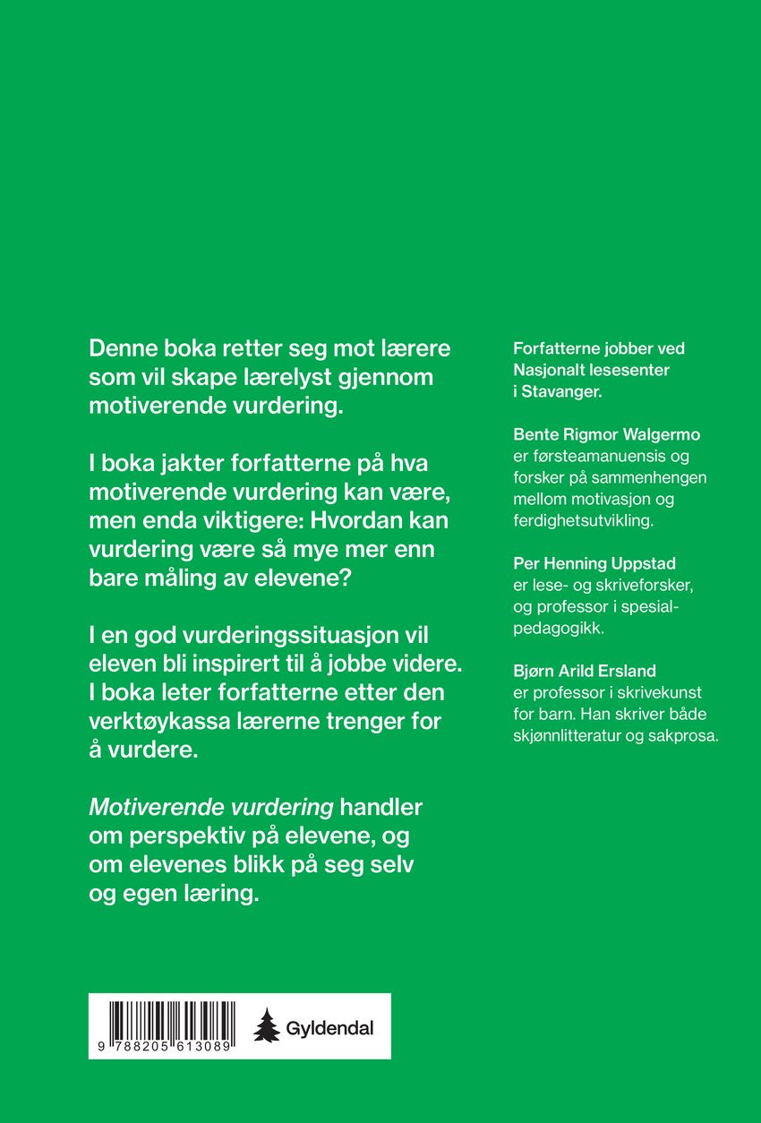 Motiverende vurdering