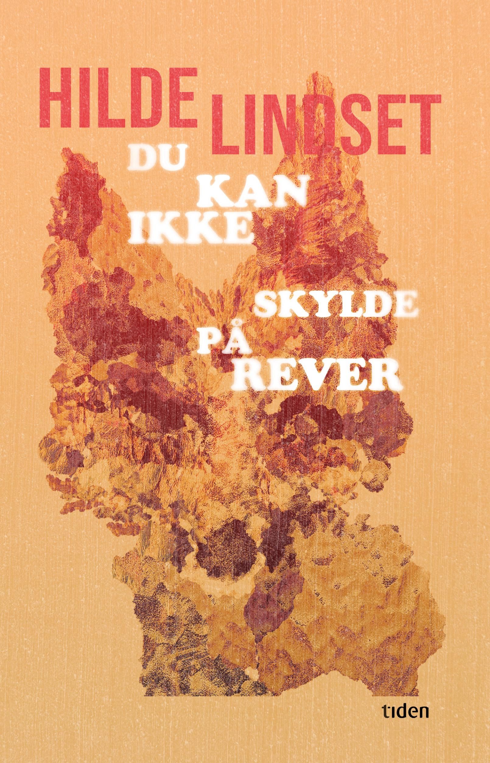 Du kan ikke skylde på rever - roman