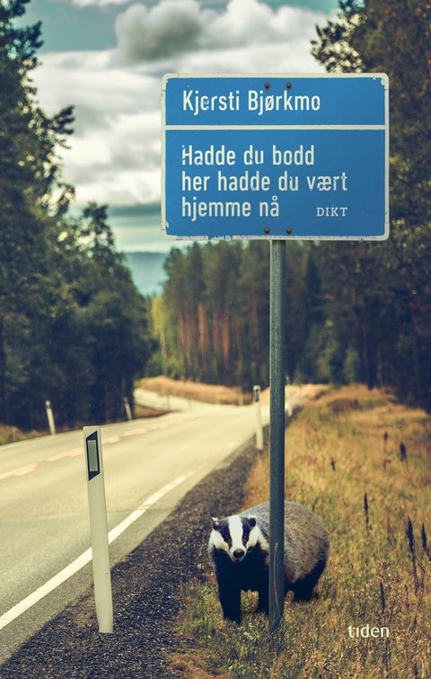 Hadde du bodd her hadde du vært hjemme nå - dikt