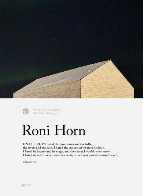 Roni Horn - untitled : (“I hated the mountains and the hills, the rivers and the rain. I hated the sunsets of whatever colour, I hated its beauty and its magic and the secret I would never know. I hated