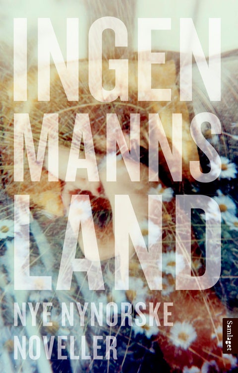 Ingenmannsland - nye nynorske noveller