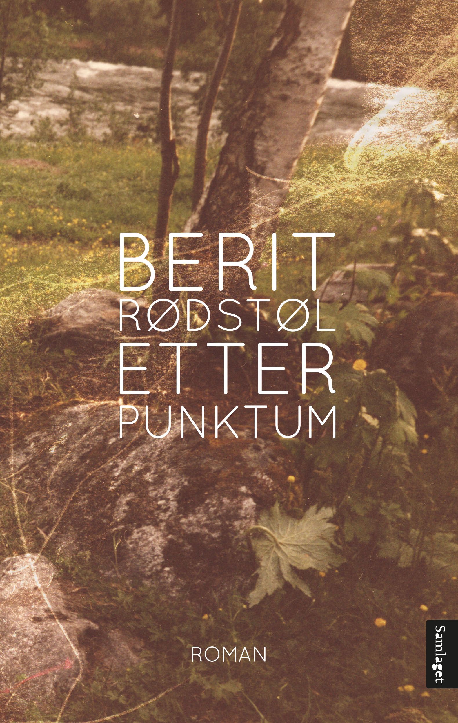 Etter punktum - roman