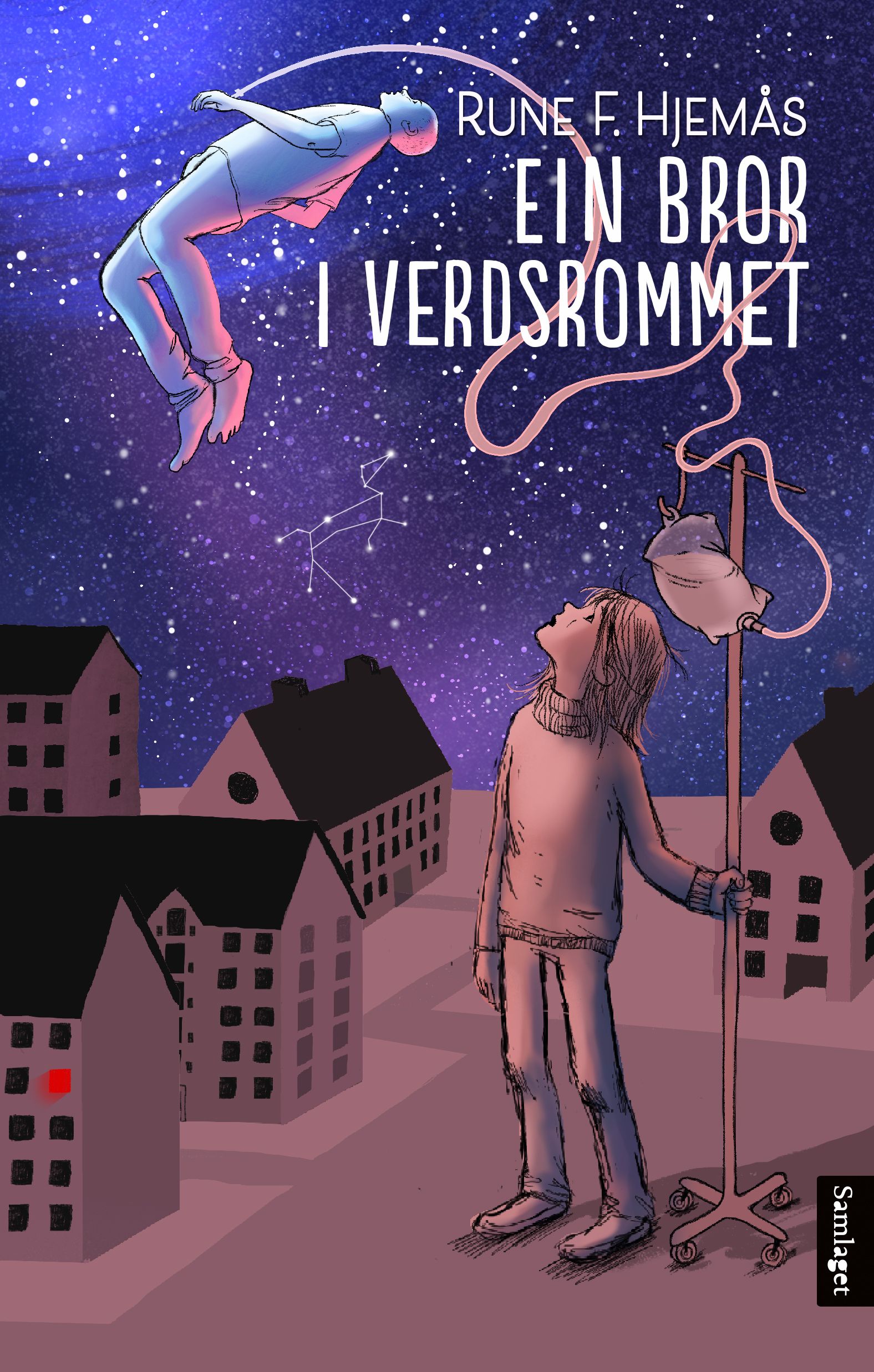 Ein bror i verdsrommet - roman