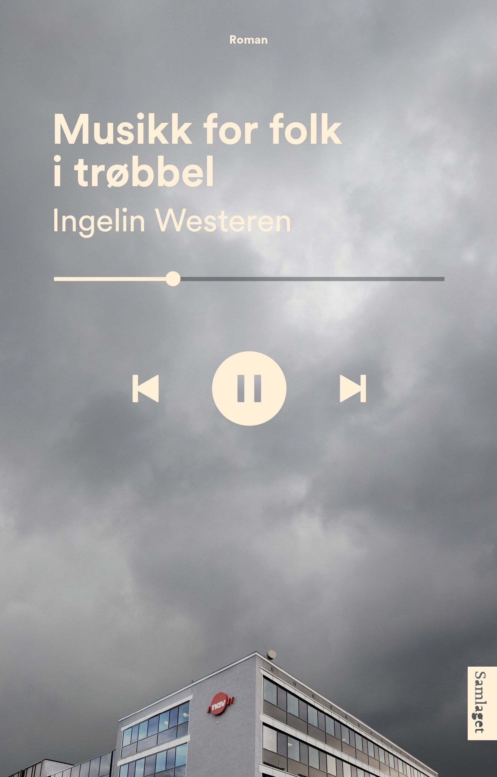 Musikk for folk i trøbbel - roman