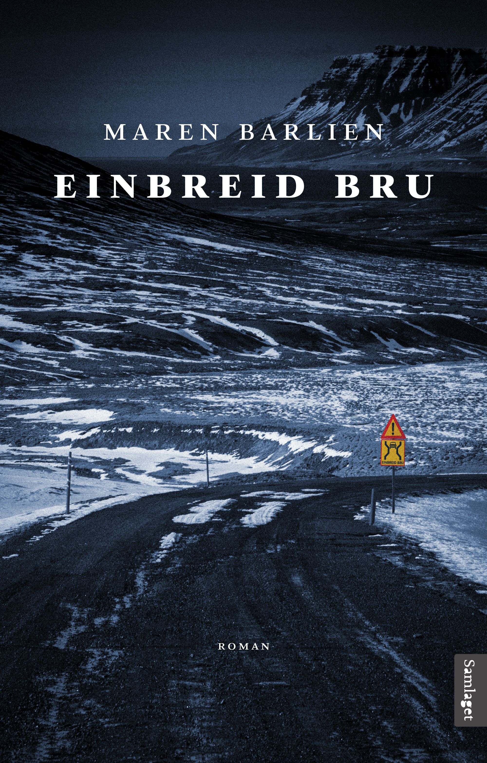 Einbreid bru - roman